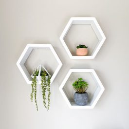 Hexagon